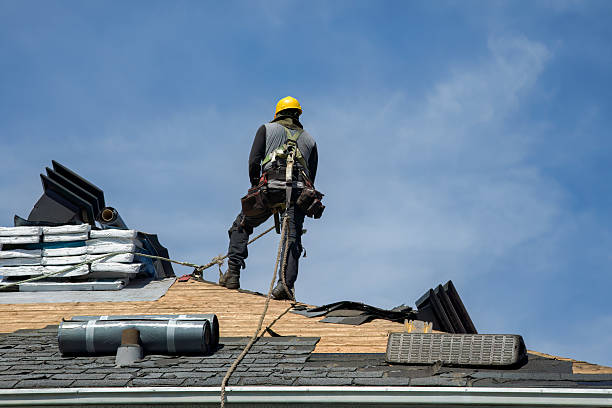 Professional Roofing technician working in Erie, IL